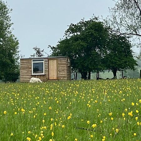 ホテル Off Grid Shepherds Hut Llansilin エクステリア 写真