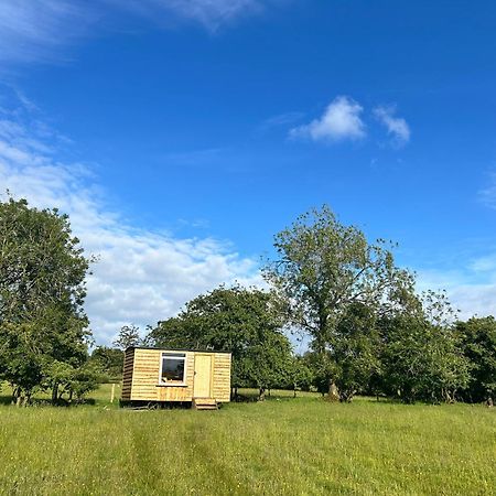 ホテル Off Grid Shepherds Hut Llansilin エクステリア 写真