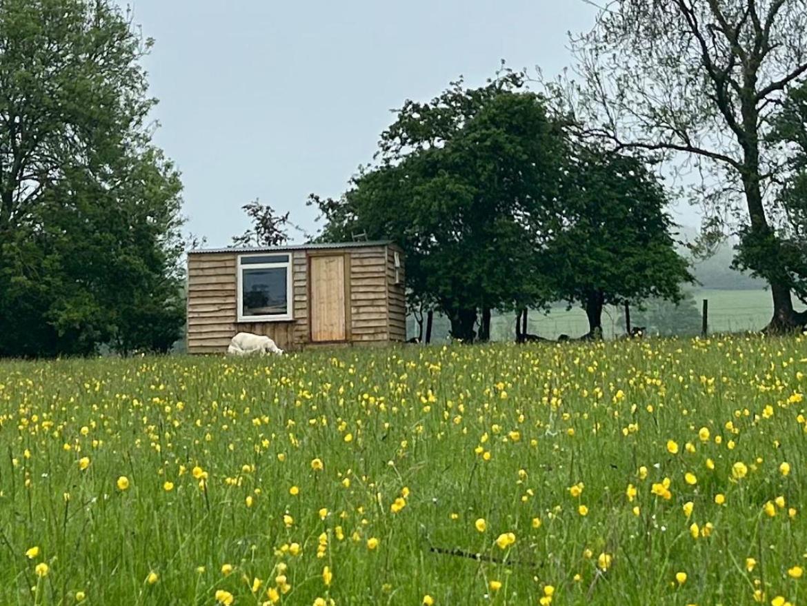 ホテル Off Grid Shepherds Hut Llansilin エクステリア 写真
