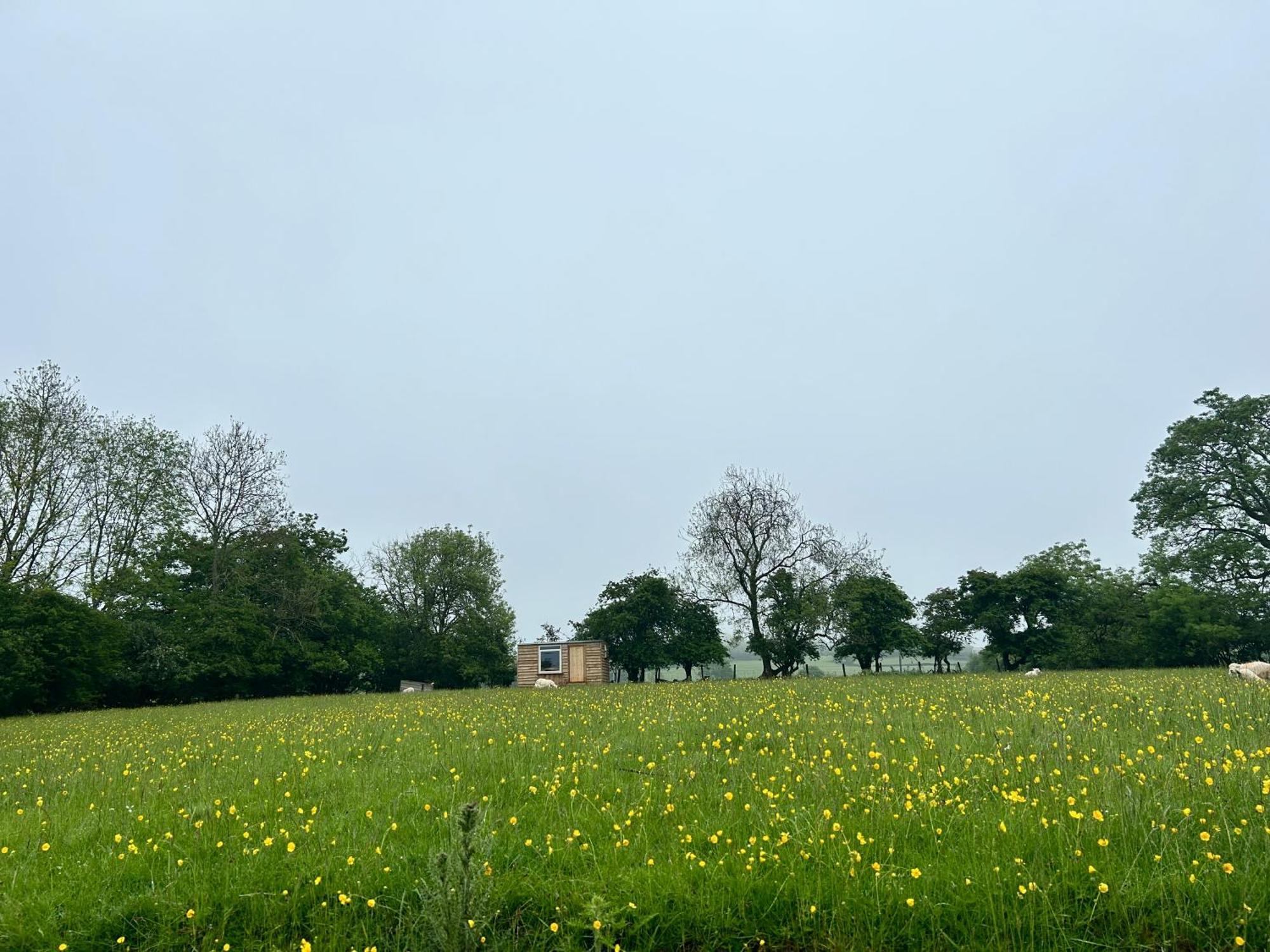 ホテル Off Grid Shepherds Hut Llansilin エクステリア 写真