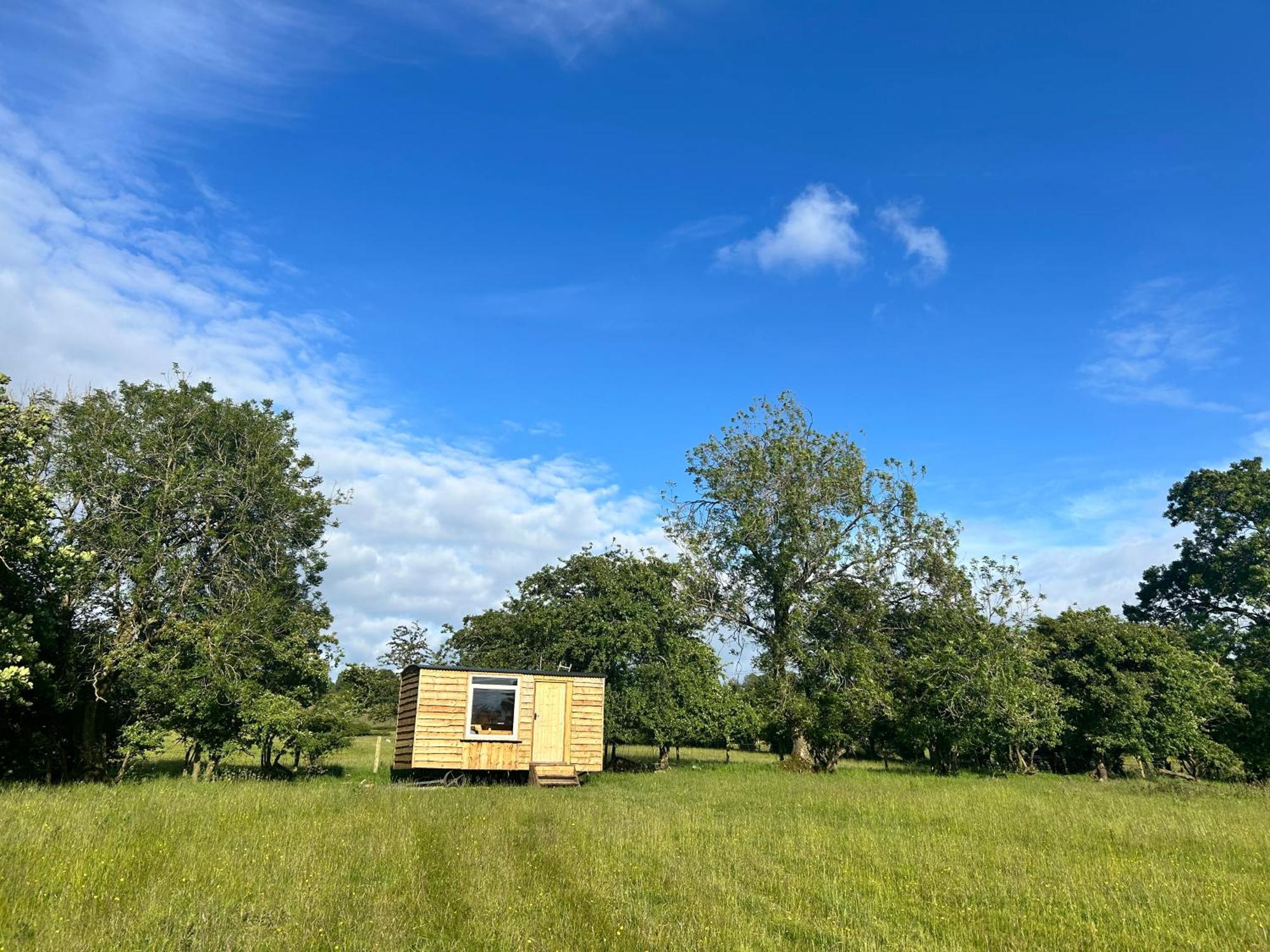 ホテル Off Grid Shepherds Hut Llansilin エクステリア 写真